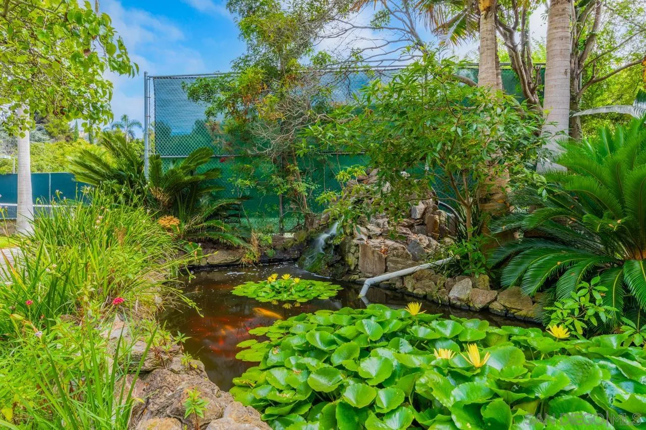 2626 Hidden Valley Road La Jolla, CA 92037 - Photo 14 of 54 a backyard of a house with lots of green space