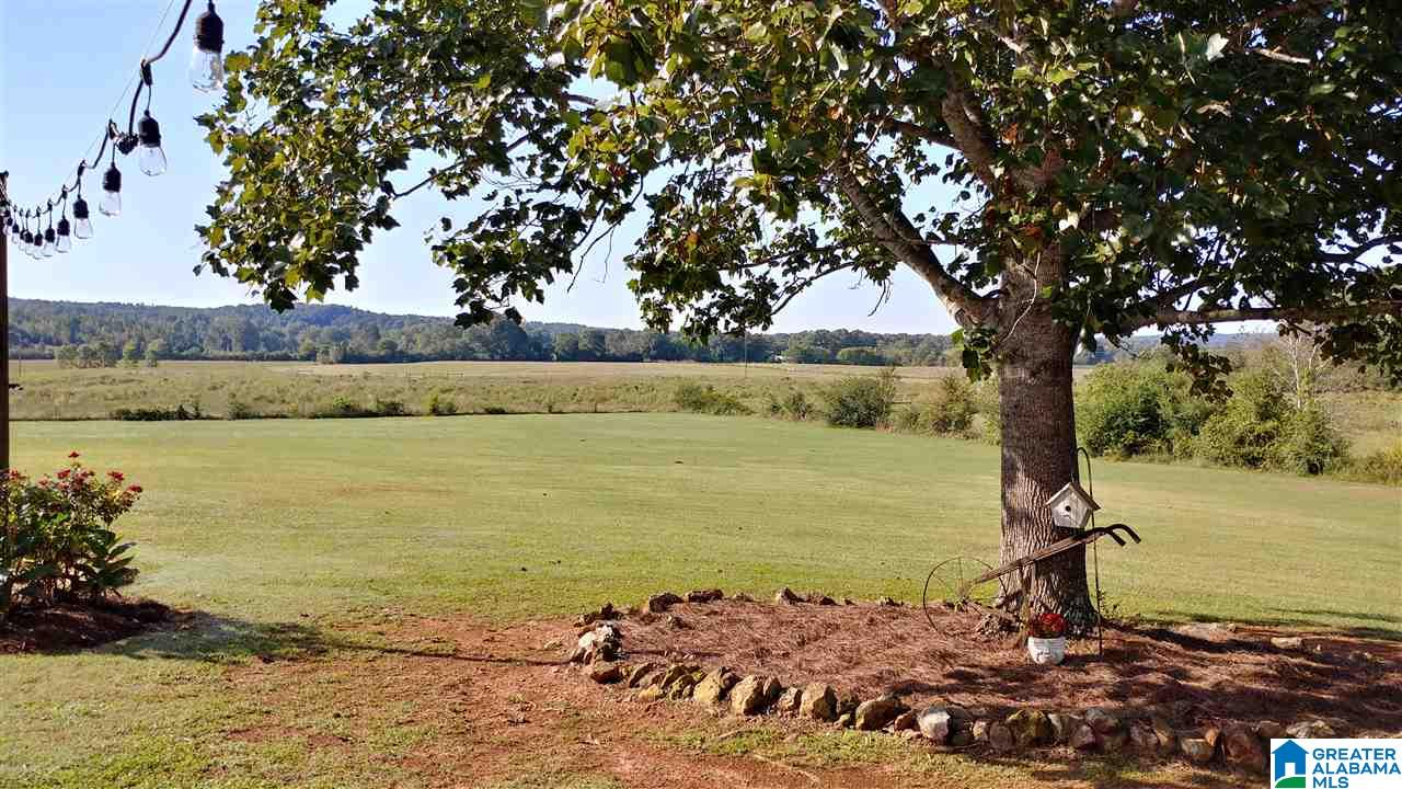 3345 East Marble Valley Road Sylacauga, AL 35151 - Photo 8 of 34