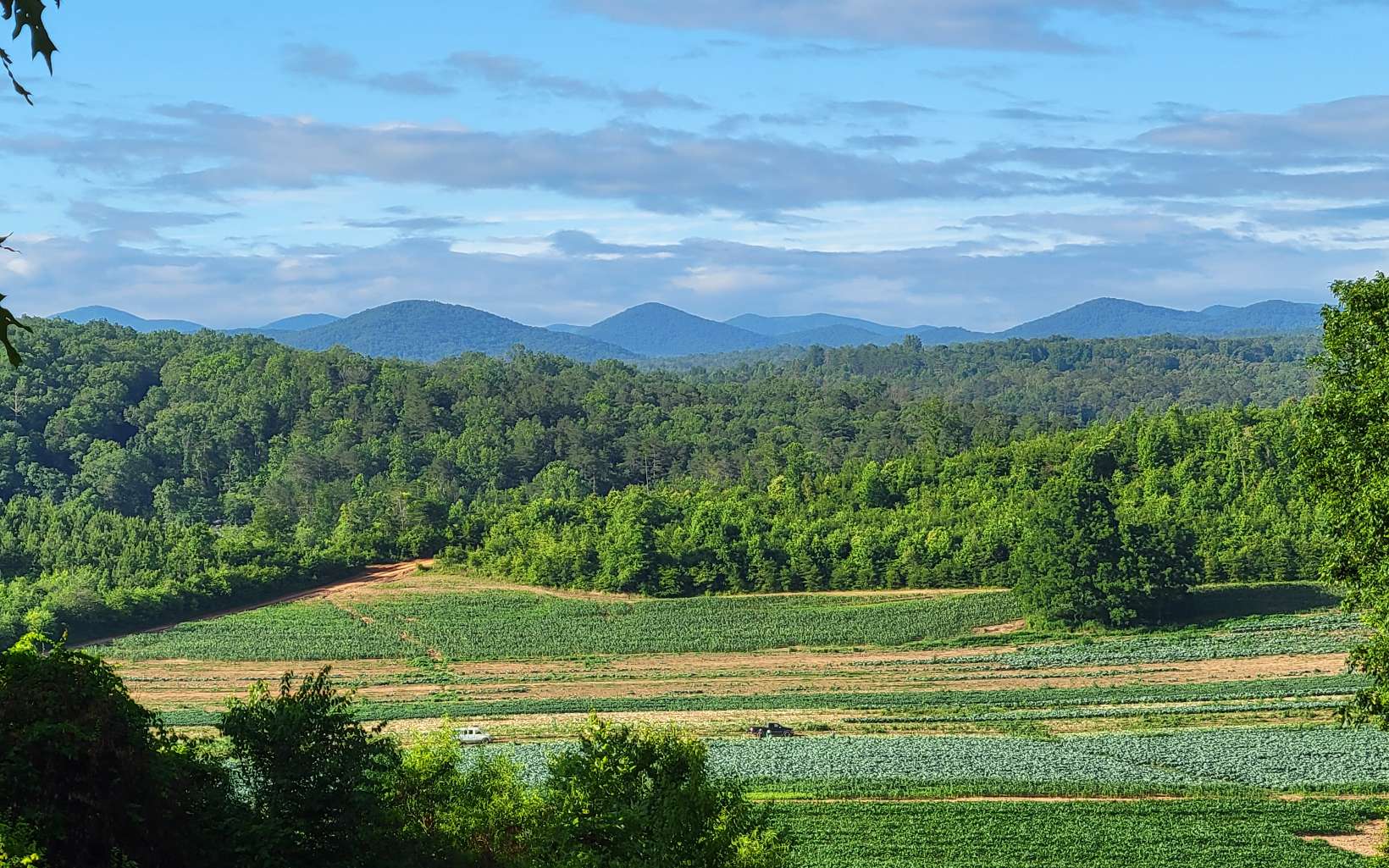 170 River Run Drive Murphy, NC 28906 - Photo 4 of 48 Additional View