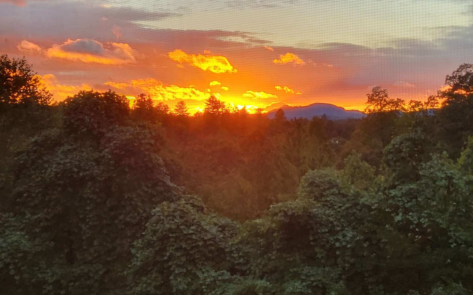 170 River Run Drive Murphy, NC 28906 - Photo 48 of 48 Additional View