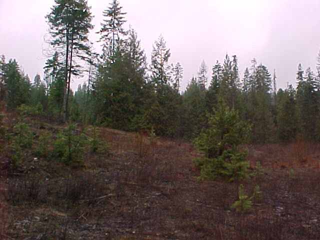 701 Diamond View Road Newport, WA 99156 - Photo 5 of 8 Gallery Image 5
