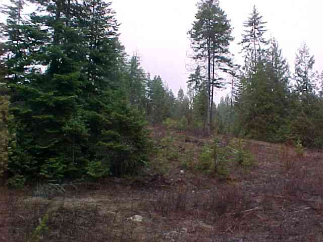 701 Diamond View Road Newport, WA 99156 - Photo 6 of 8 Gallery Image 6