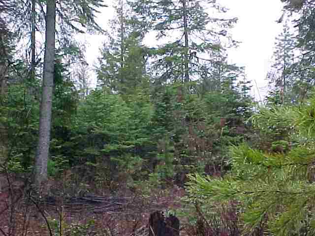 701 Diamond View Road Newport, WA 99156 - Photo 7 of 8 Gallery Image 7