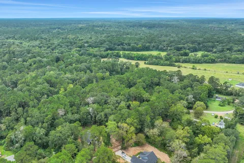 a view of a green field with lots of bushes