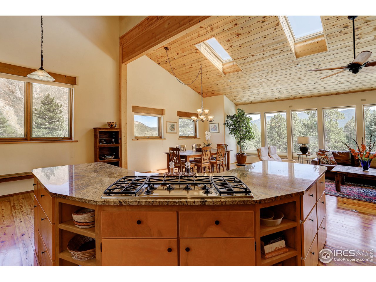 3901 Overland Road Jamestown, CO 80455 - Photo 8 of 39 Gallery Image 8