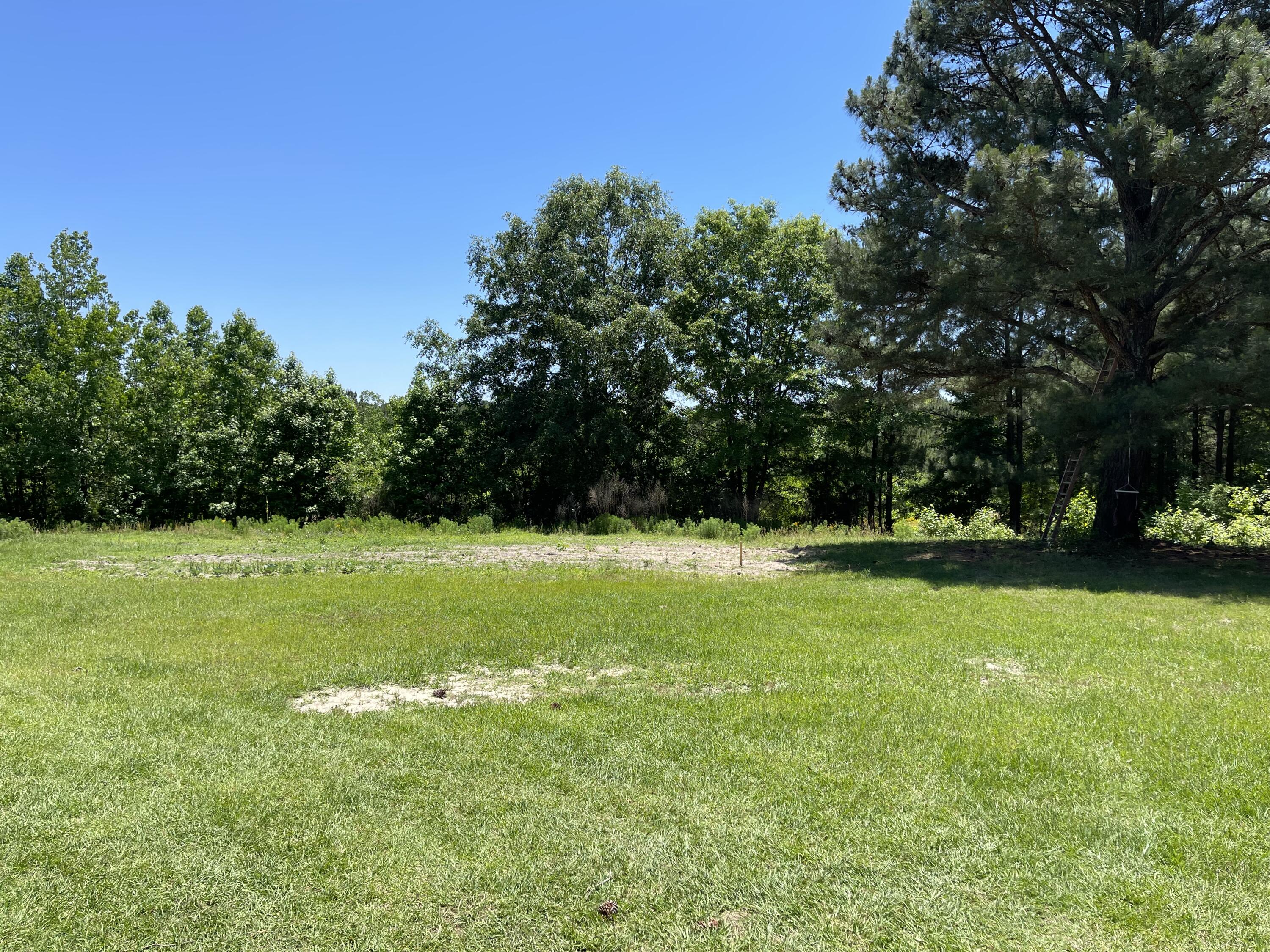 789 Old Shoals Road Monetta, SC 29105 - Photo 2 of 18 Gallery Image 2