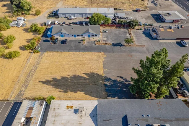a view of a plants in front of house