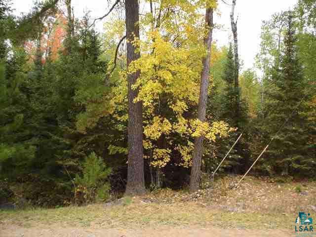 Xxx Ringrock Road Ely, MN 55731 - Photo 2 of 8