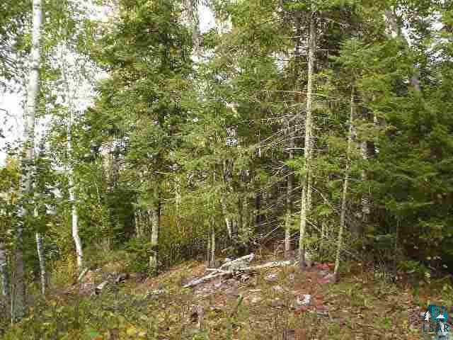Xxx Ringrock Road Ely, MN 55731 - Photo 5 of 8