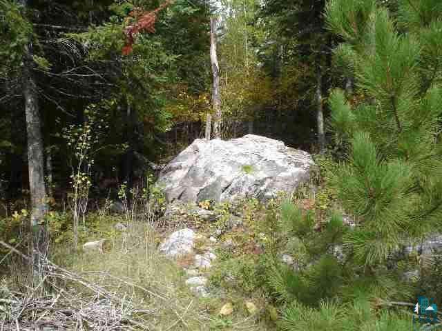 Xxx Ringrock Road Ely, MN 55731 - Photo 8 of 8