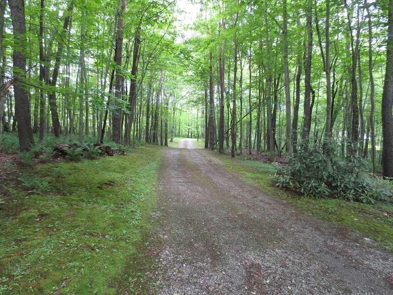 332 Bonniebrook Road Butler, PA 16002 - Photo 24 of 25 Other. Drive way