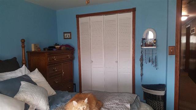 3929 East 769th Road Triumph, IL 61371 - Photo 14 of 19