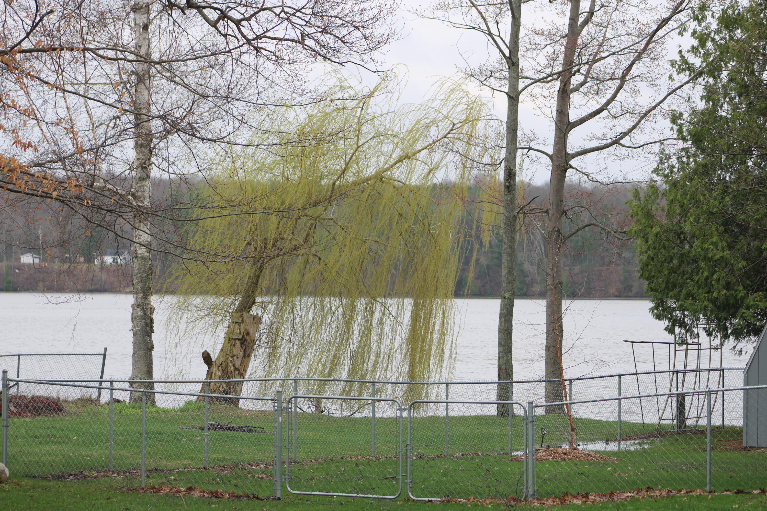 19449 Park Road Big Rapids, MI 49307 - Photo 2 of 35 IMG_4075