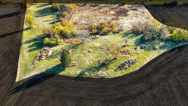 a view of a yard