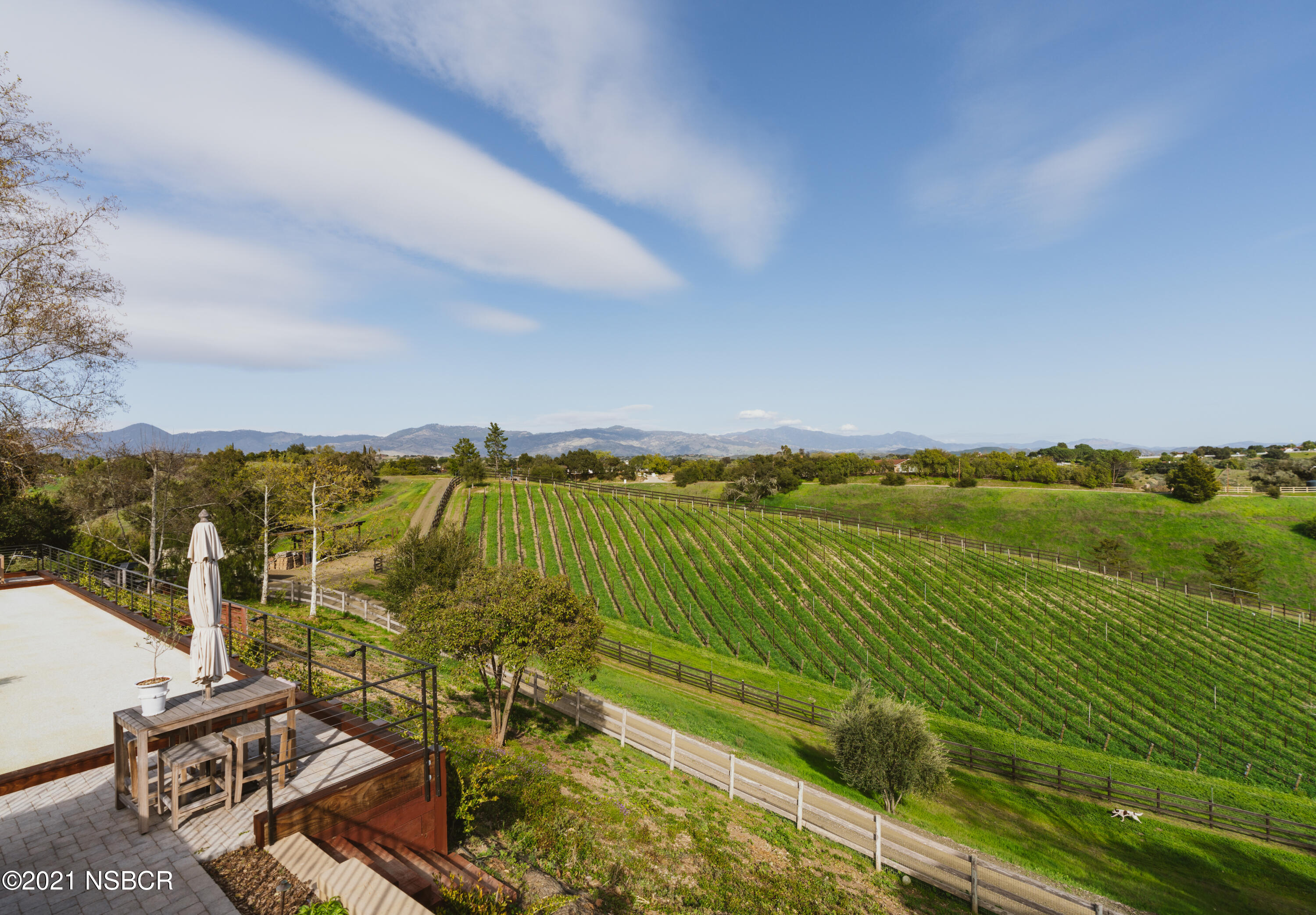 2968 Canada Este Road Santa Ynez, CA 93460 - Photo 26 of 37 Vineyard