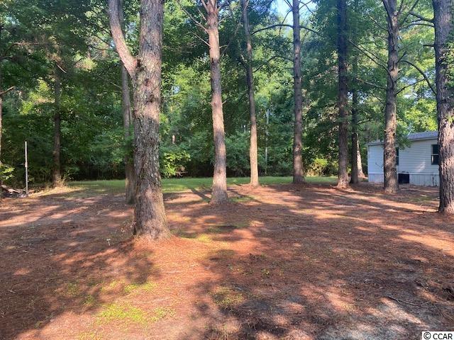 1938 Armview Road Loris, SC 29569 - Photo 12 of 14