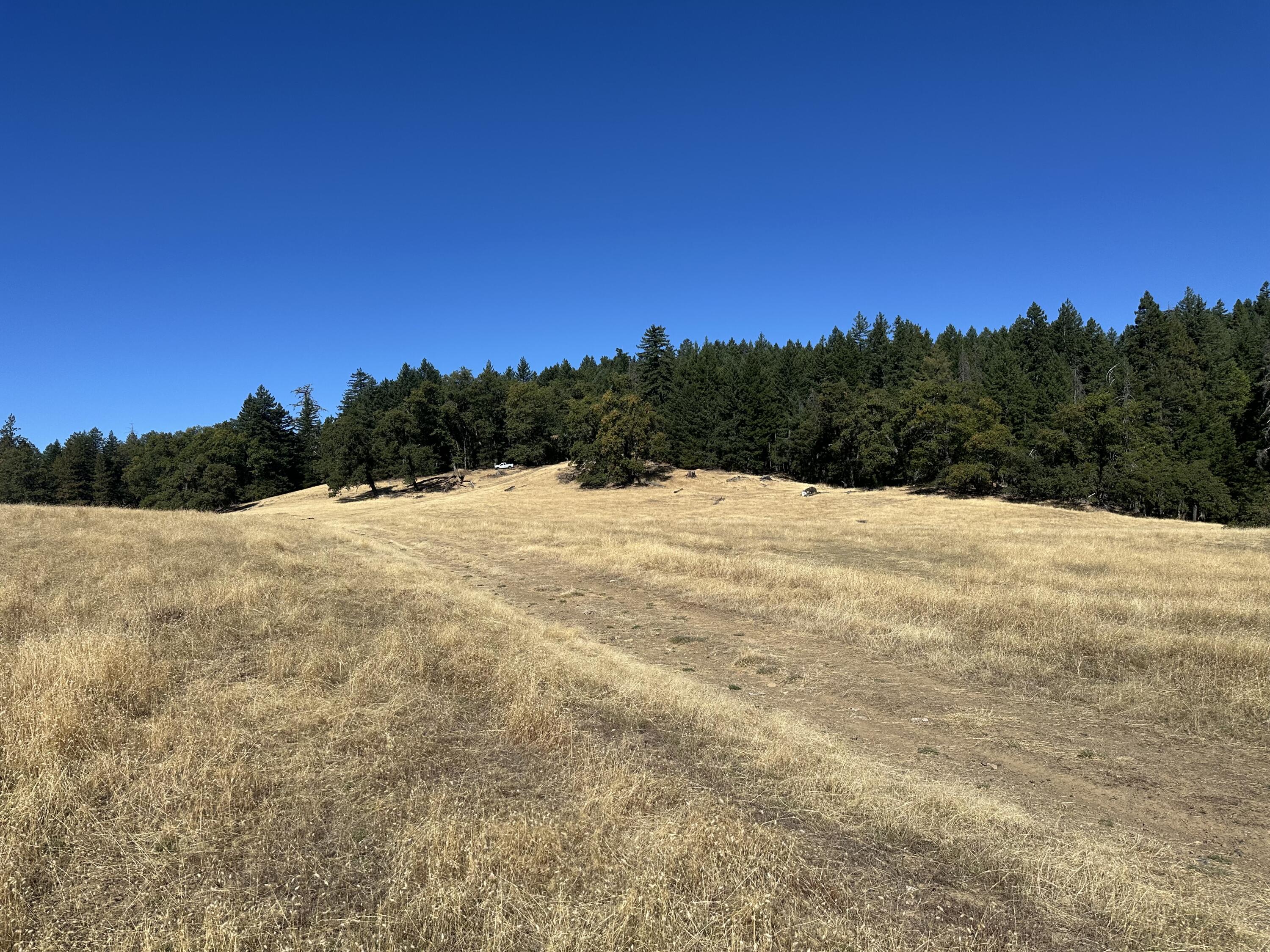 751 Lassic's Lookout Road Zenia, CA 95595 - Photo 11 of 29