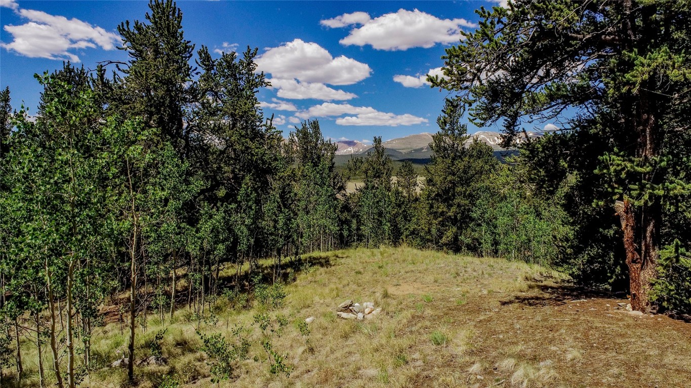 308 Quarry Road Fairplay, CO 80440 - Photo 1 of 31