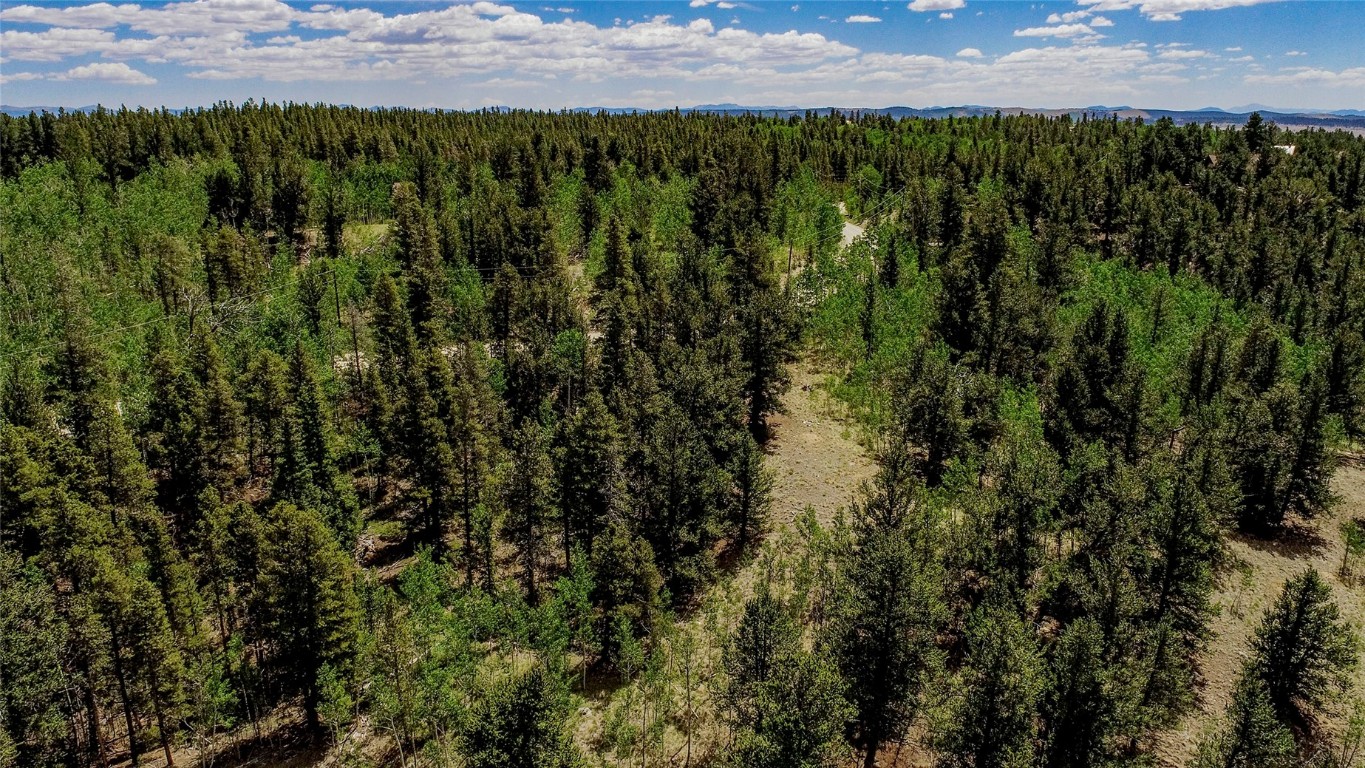 308 Quarry Road Fairplay, CO 80440 - Photo 29 of 31