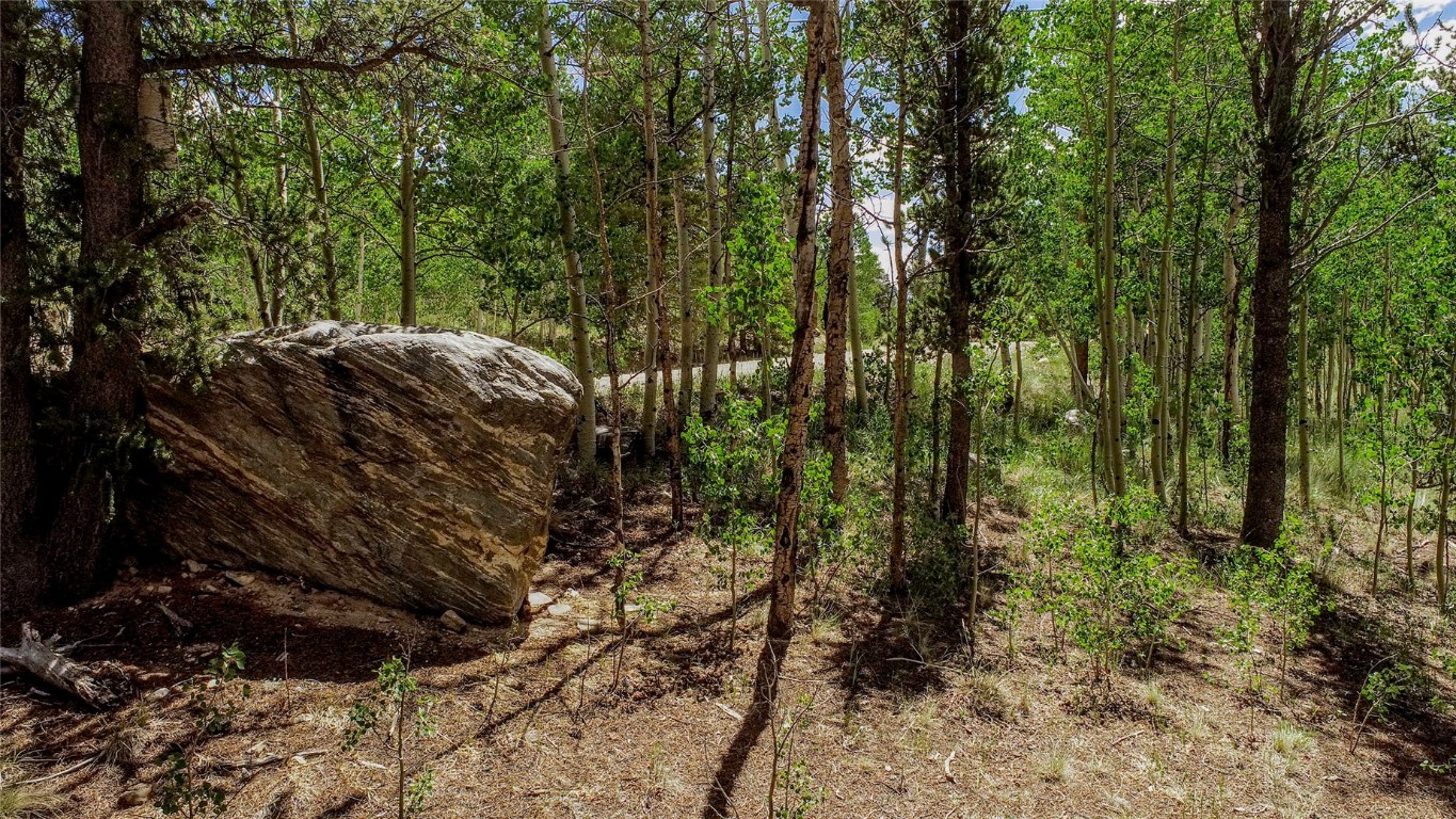 308 Quarry Road Fairplay, CO 80440 - Photo 7 of 31
