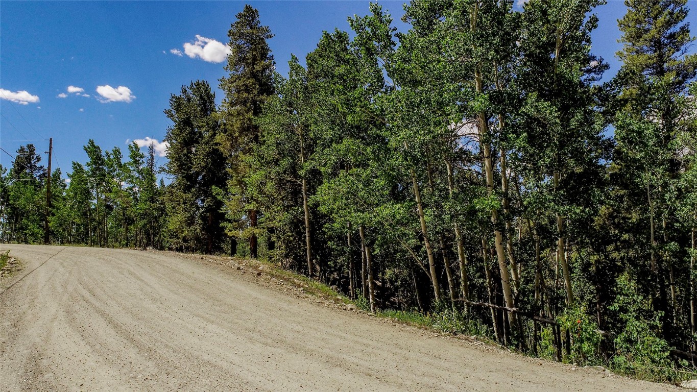 308 Quarry Road Fairplay, CO 80440 - Photo 9 of 31