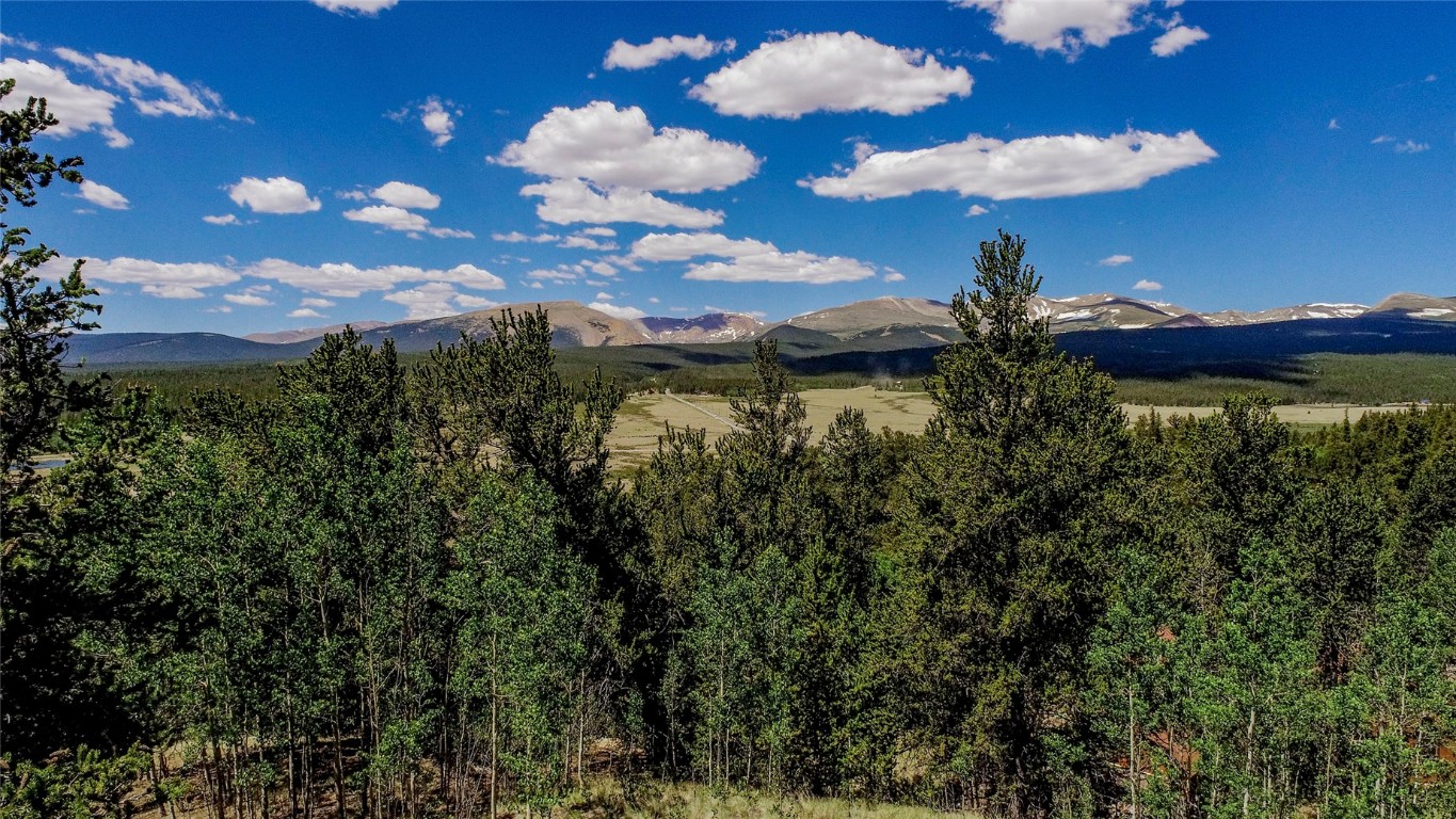 308 Quarry Road Fairplay, CO 80440 - Photo 10 of 31