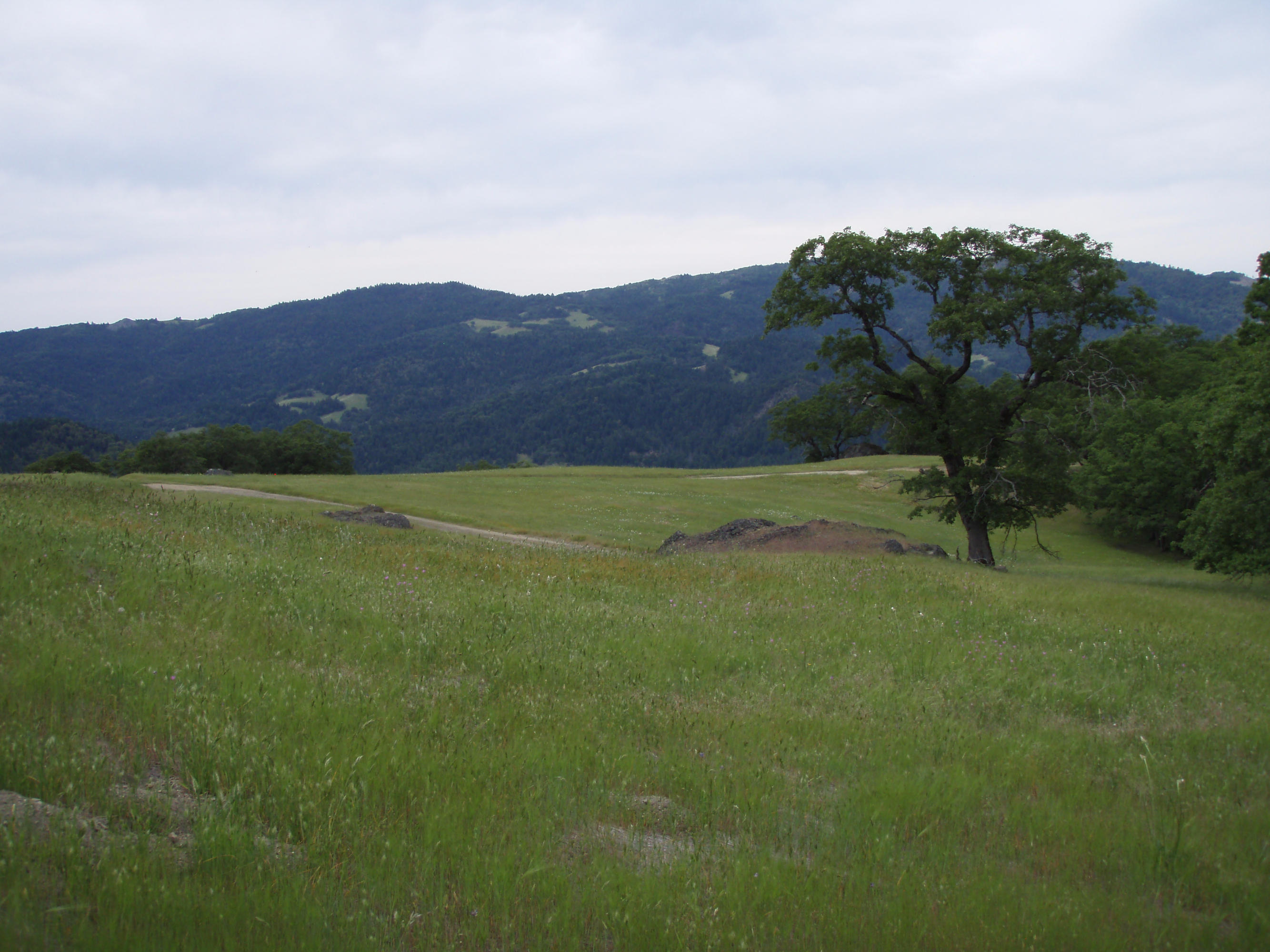 4750 Burr Valley Road Bridgeville, CA 95526 - Photo 27 of 52
