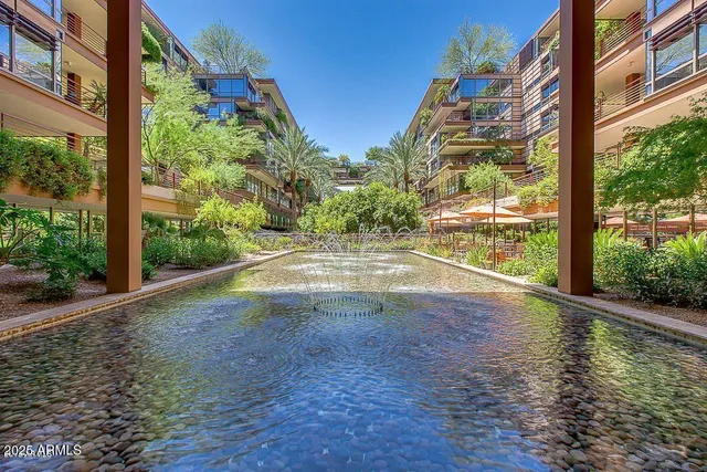 a view of backyard with plants and wooden floor