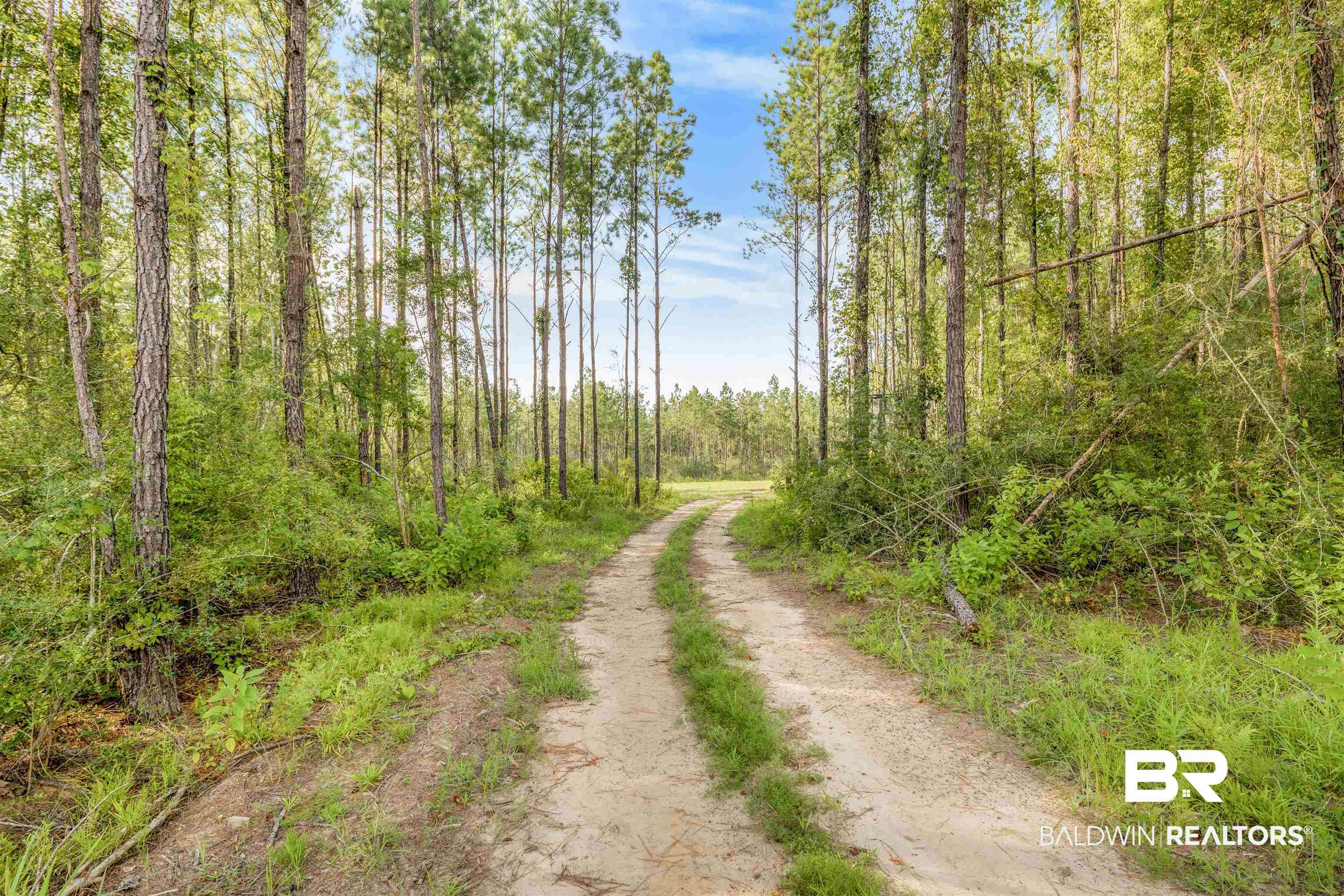 27861 New Hope Church Road Robertsdale, AL 36567 - Photo 15 of 29 View of road