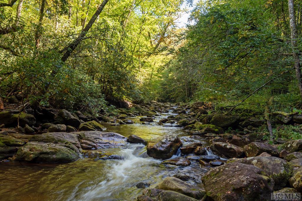 Lot 51 Cullowhee Forest Road Cullowhee, NC 28723 - Photo 5 of 11 Gallery Image 5