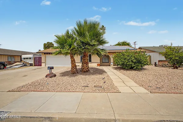 a palm tree sitting in front of a house