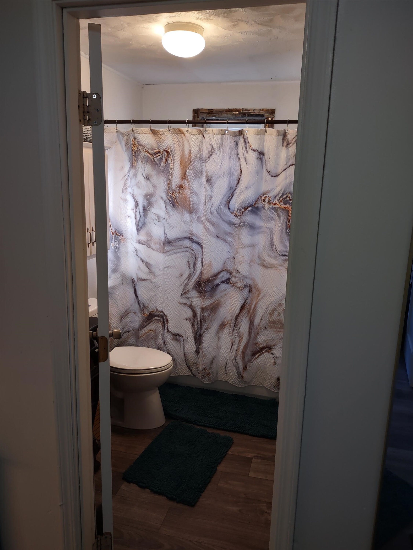 97 Neals Temple Road Havana, FL 32333 - Photo 11 of 32