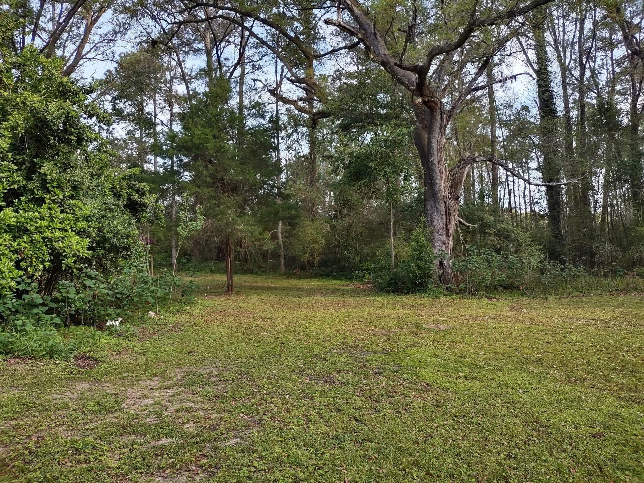97 Neals Temple Road Havana, FL 32333 - Photo 21 of 32