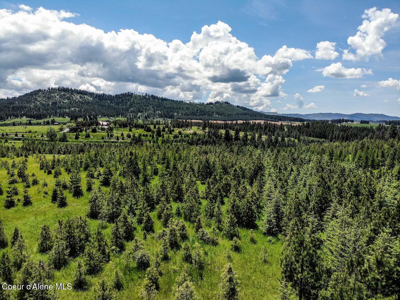 6 East Rd Harrison Id 83833 Road Harrison, ID 83833 - Photo 11 of 32 DJI_0664_edited