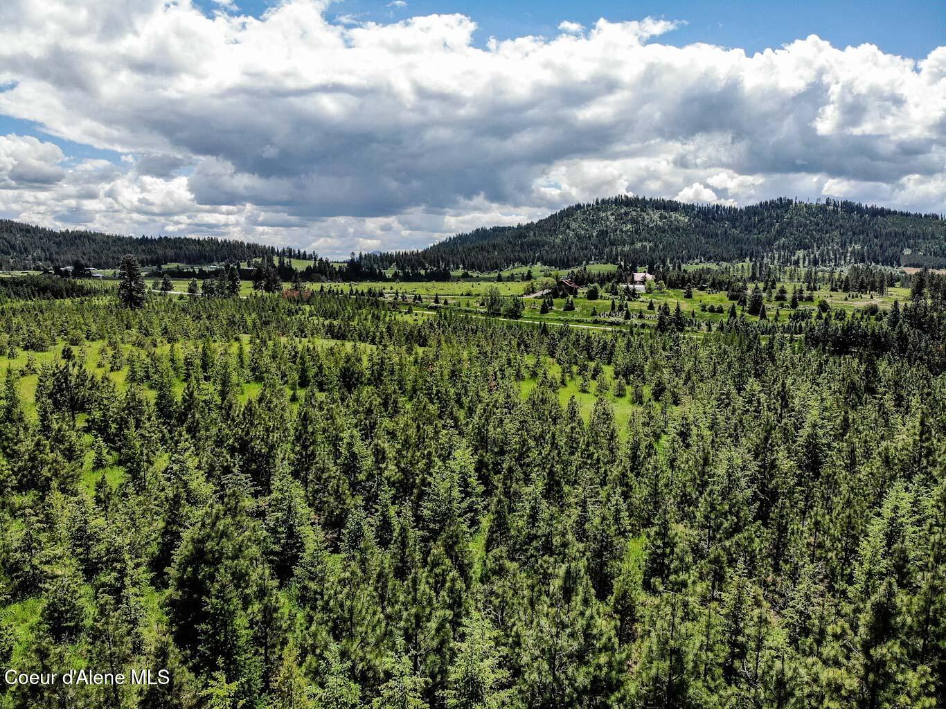 6 East Rd Harrison Id 83833 Road Harrison, ID 83833 - Photo 12 of 32 DJI_0665_edited