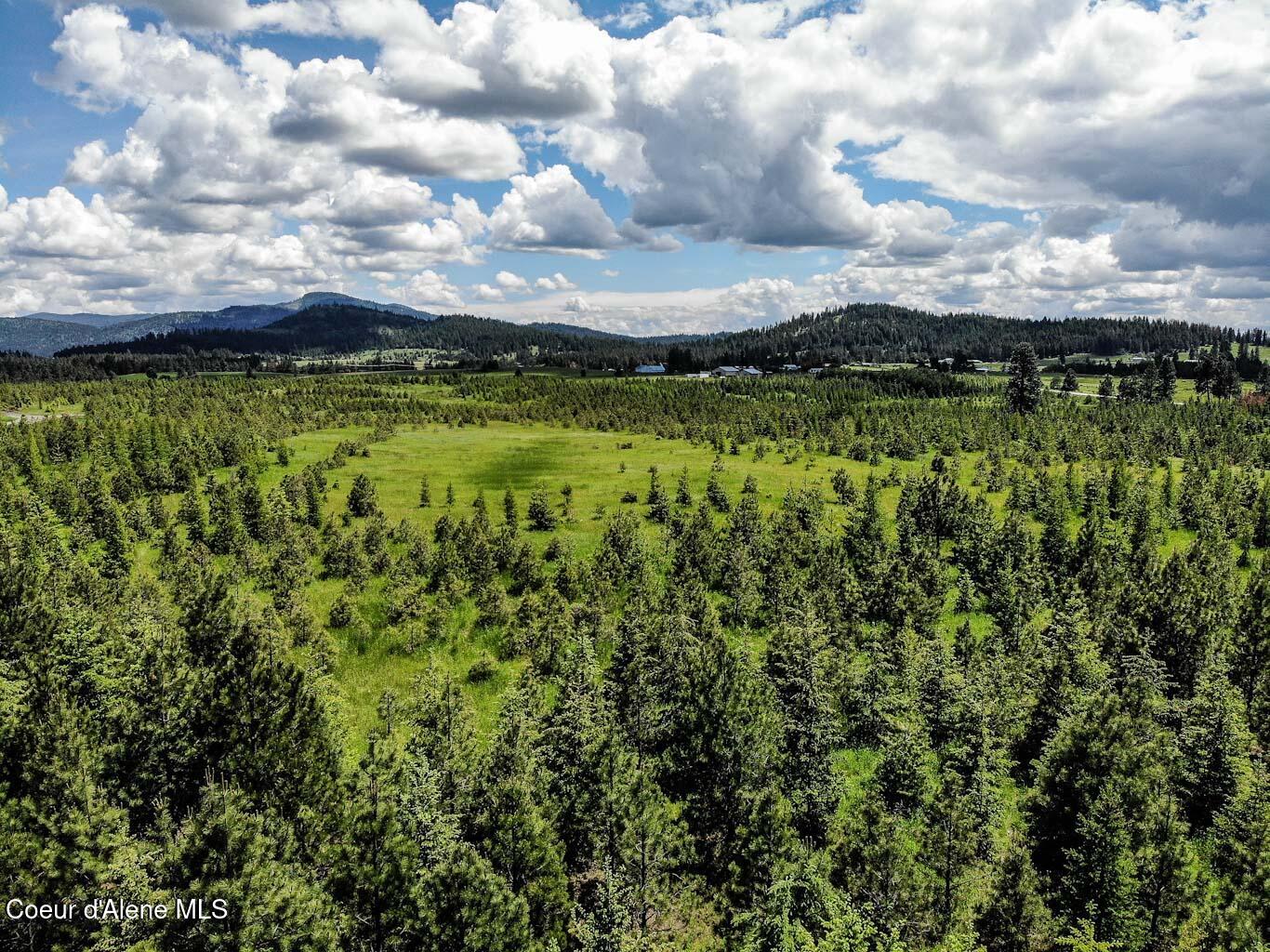 6 East Rd Harrison Id 83833 Road Harrison, ID 83833 - Photo 13 of 32 DJI_0666_edited