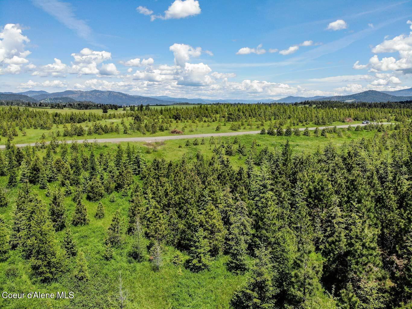 6 East Rd Harrison Id 83833 Road Harrison, ID 83833 - Photo 14 of 32 DJI_0667_edited