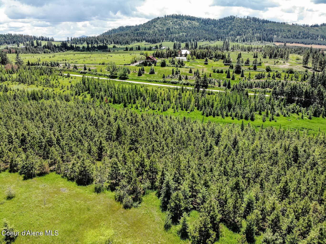 6 East Rd Harrison Id 83833 Road Harrison, ID 83833 - Photo 16 of 32 DJI_0669_edited