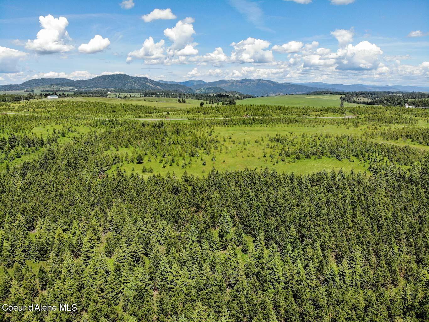 6 East Rd Harrison Id 83833 Road Harrison, ID 83833 - Photo 17 of 32 DJI_0670_edited