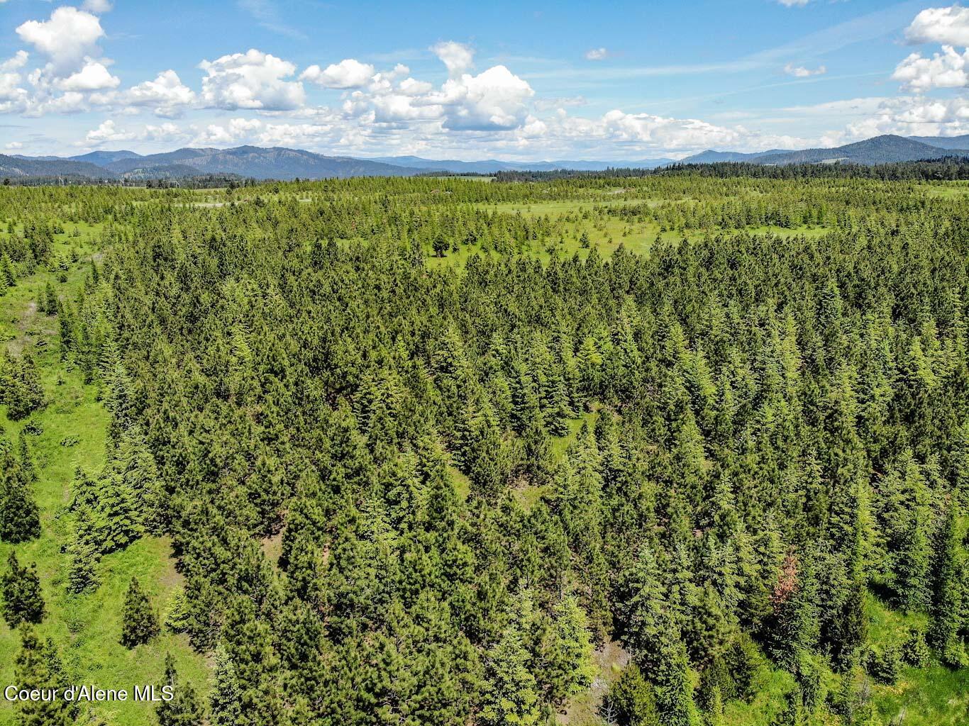 6 East Rd Harrison Id 83833 Road Harrison, ID 83833 - Photo 18 of 32 DJI_0671_edited