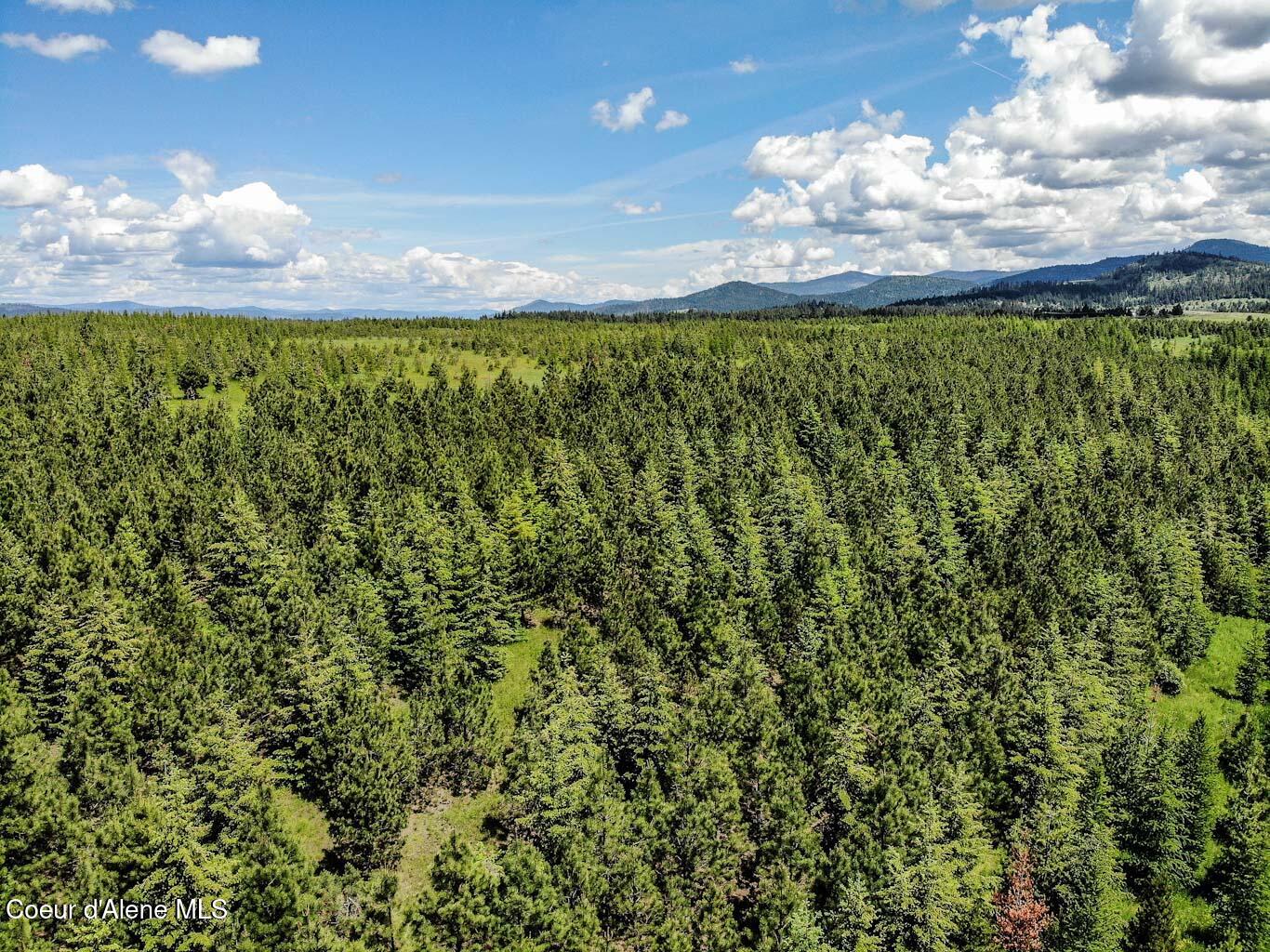 6 East Rd Harrison Id 83833 Road Harrison, ID 83833 - Photo 20 of 32 DJI_0673_edited