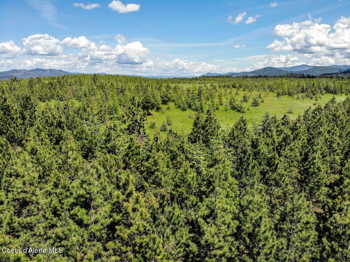 6 East Rd Harrison Id 83833 Road Harrison, ID 83833 - Photo 21 of 32 DJI_0674_edited