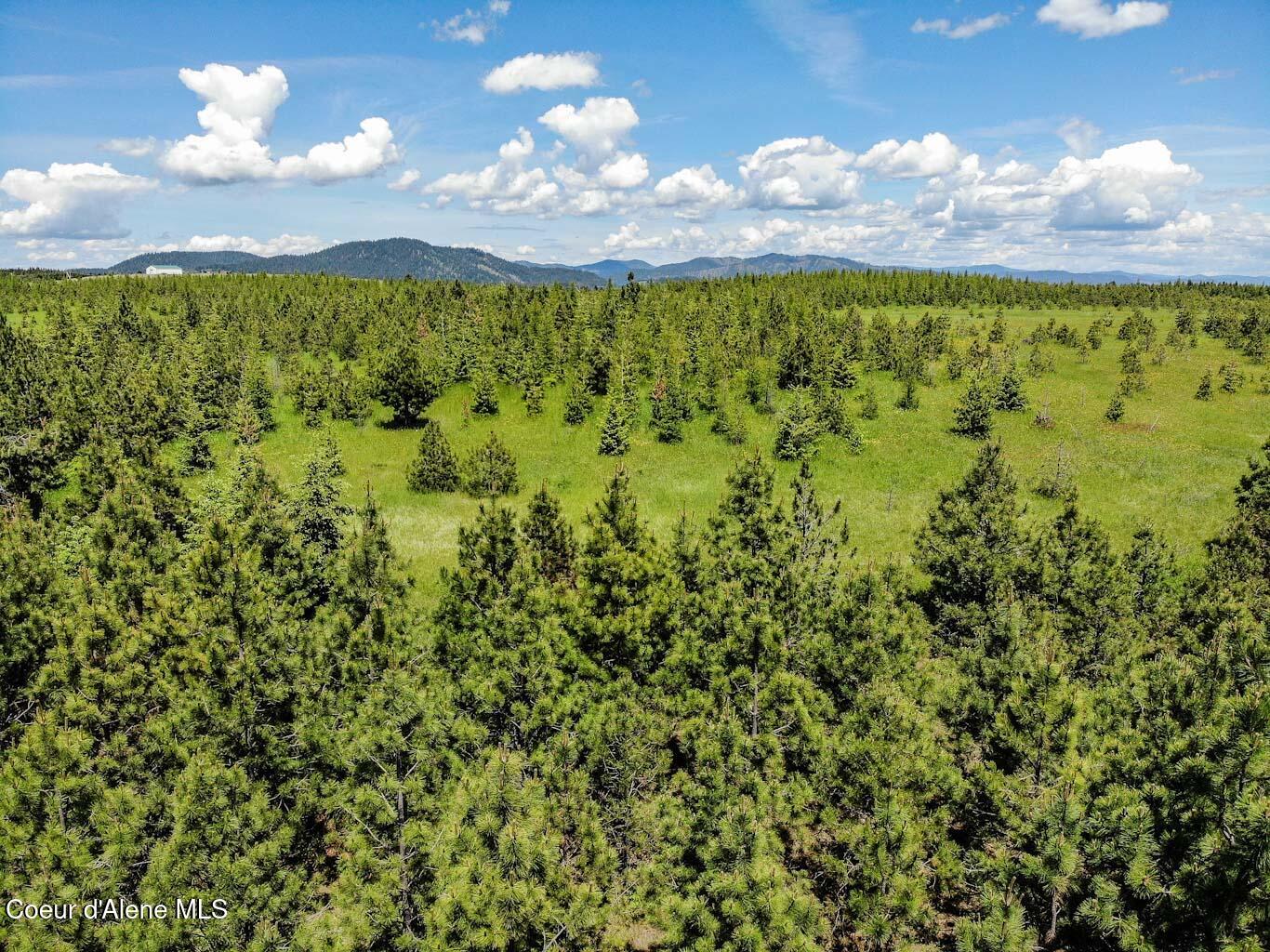 6 East Rd Harrison Id 83833 Road Harrison, ID 83833 - Photo 22 of 32 DJI_0675_edited