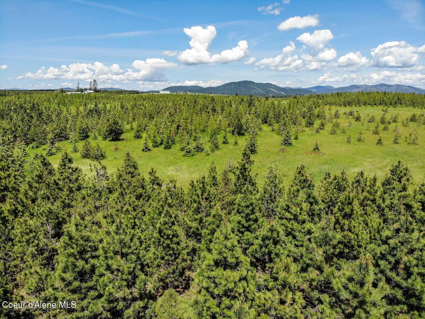 6 East Rd Harrison Id 83833 Road Harrison, ID 83833 - Photo 23 of 32 DJI_0676_edited