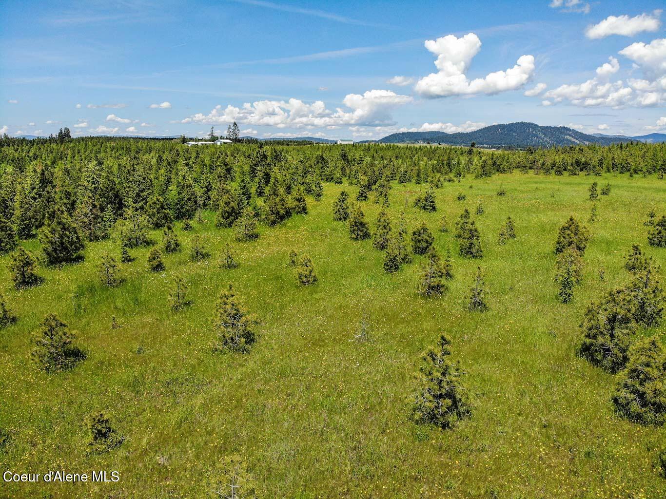 6 East Rd Harrison Id 83833 Road Harrison, ID 83833 - Photo 24 of 32 DJI_0677_edited