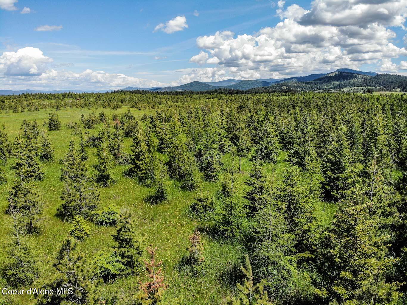 6 East Rd Harrison Id 83833 Road Harrison, ID 83833 - Photo 26 of 32 DJI_0680_edited