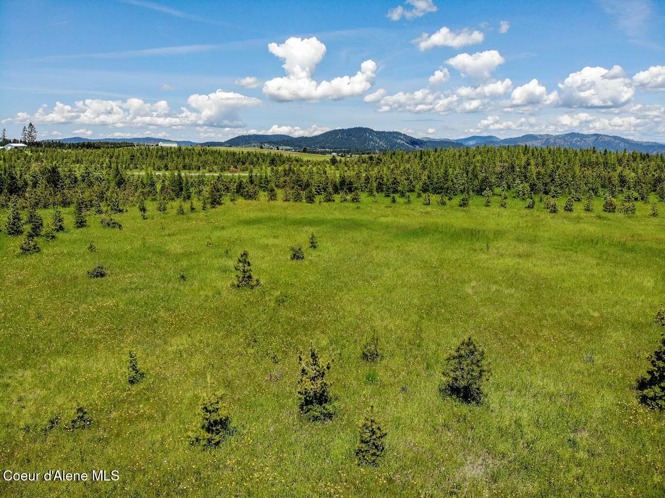 6 East Rd Harrison Id 83833 Road Harrison, ID 83833 - Photo 27 of 32 DJI_0681_edited