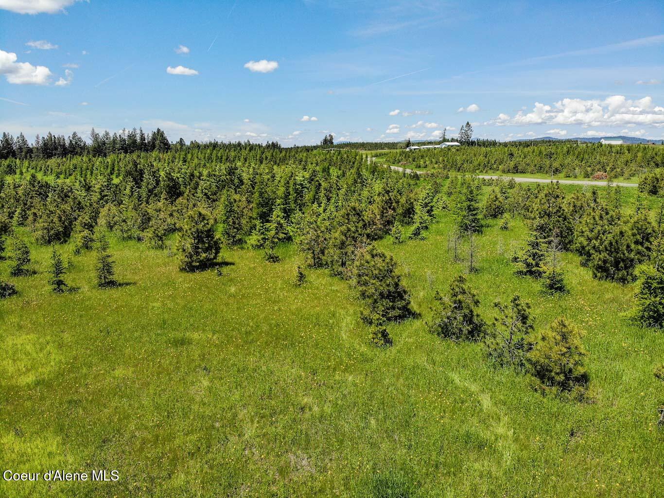 6 East Rd Harrison Id 83833 Road Harrison, ID 83833 - Photo 28 of 32 DJI_0682_edited