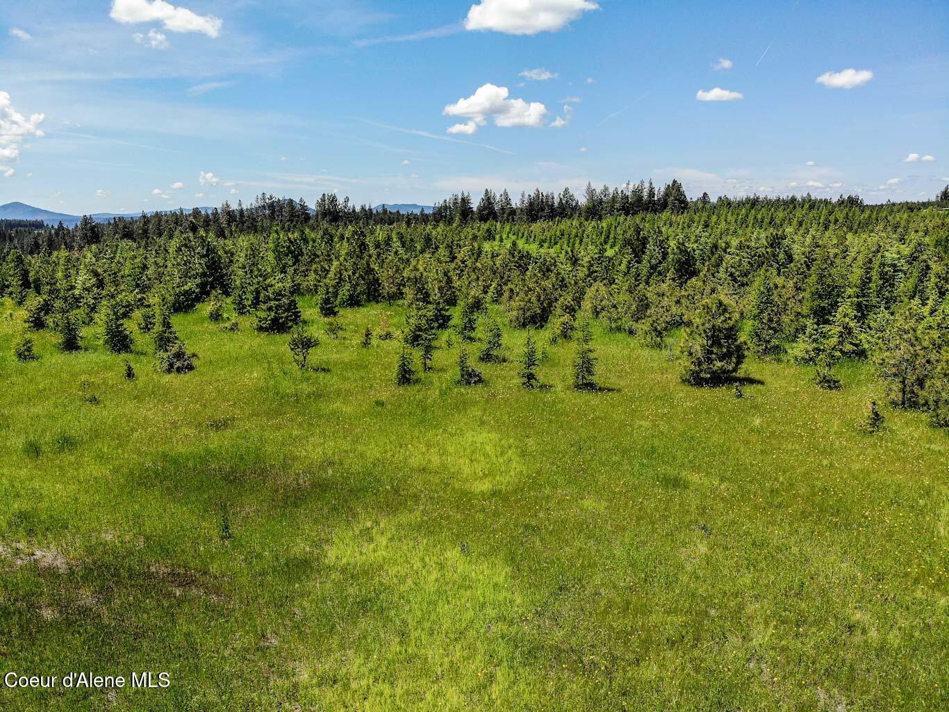 6 East Rd Harrison Id 83833 Road Harrison, ID 83833 - Photo 29 of 32 DJI_0683_edited