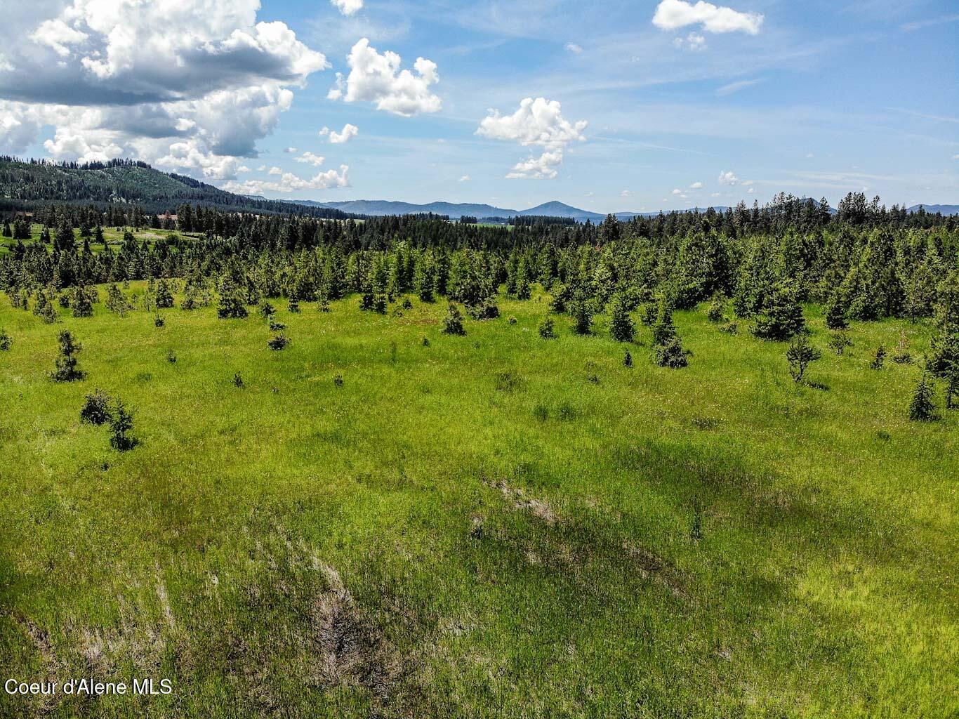 6 East Rd Harrison Id 83833 Road Harrison, ID 83833 - Photo 30 of 32 DJI_0684_edited